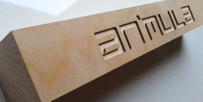 ani_3